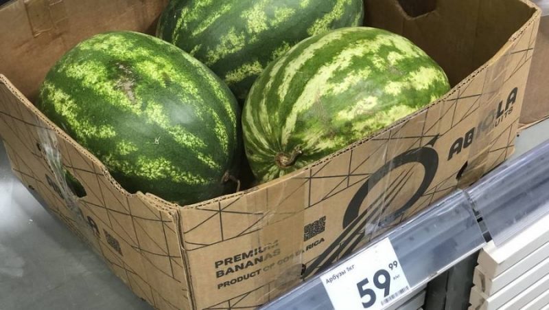 В Брянске начали снижаться цены на арбузы нового урожая
