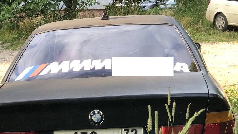 В Брянской области стали безнаказанно разъезжать машины с надписями матом