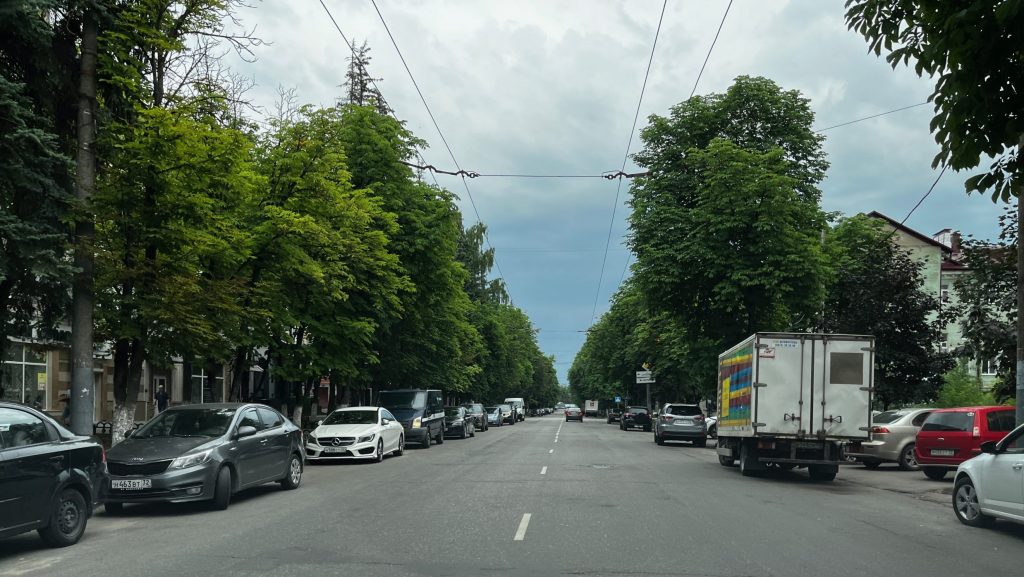 В Брянске активисты предложили временно сделать пешеходной улицу Куйбышева