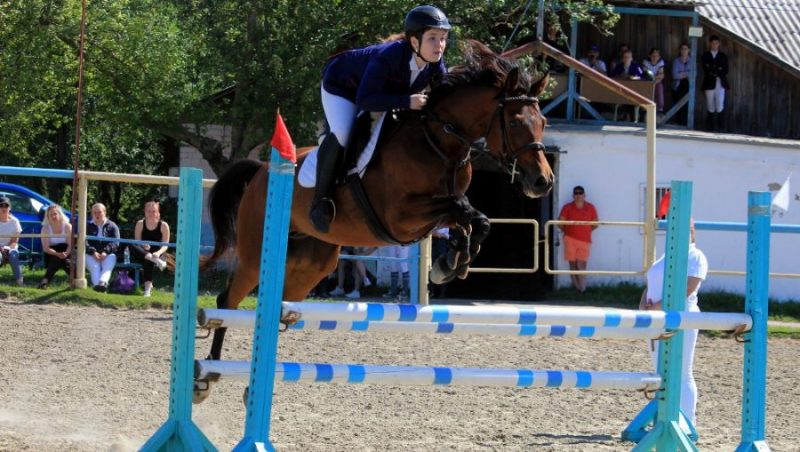 В Брянске из-за жары перенесли соревнования по конному спорту