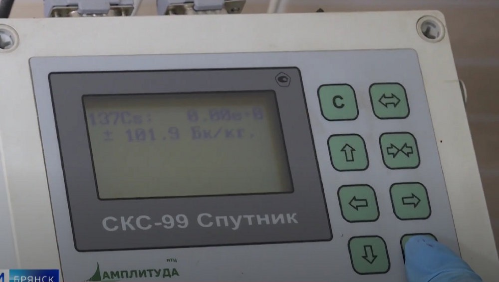 В Брянске на рынке выявили три партии черники с превышением нормы радионуклидов