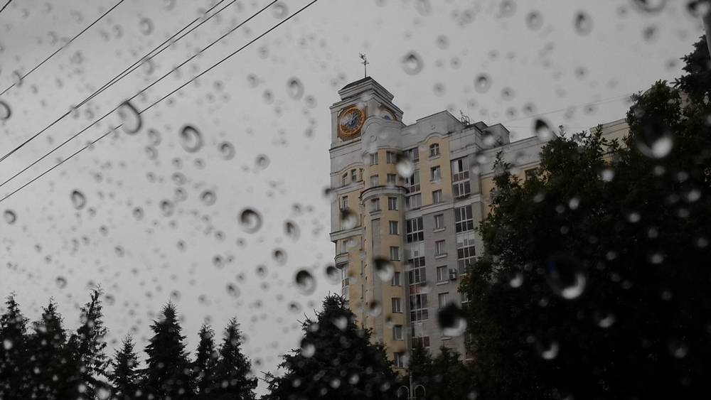 МЧС предупредило жителей Брянской области о ливнях, грозах и граде 25 июля