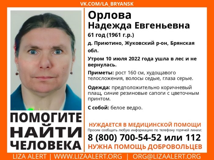 Под Жуковкой в лесу пропала без вести  61-летняя Надежда Орлова