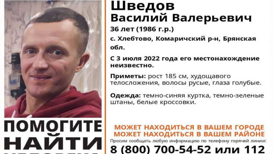 В Брянской области нашелся живым пропавший 36-летний Василий Шведов