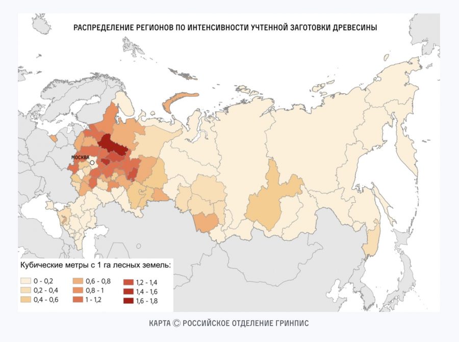 Брянская область оказалась на 8 месте в России по интенсивности рубки леса
