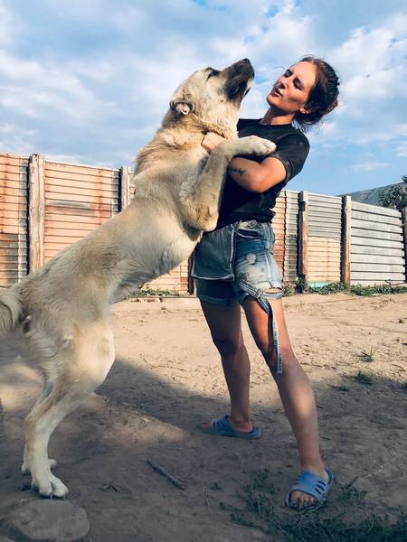 Брянская предпринимательница Олеся Сивакова показала своих огромных алабаев
