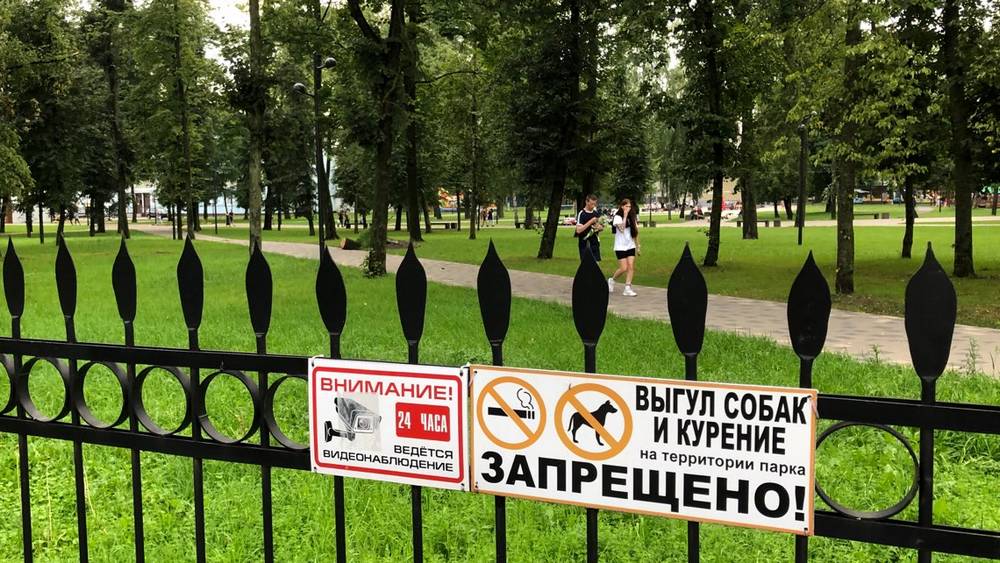 В Брянске Пушкинский парк превратили в псарню