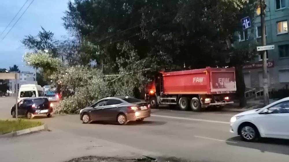 В Брянске на Северной водитель грузовика завалил дерево на дорогу