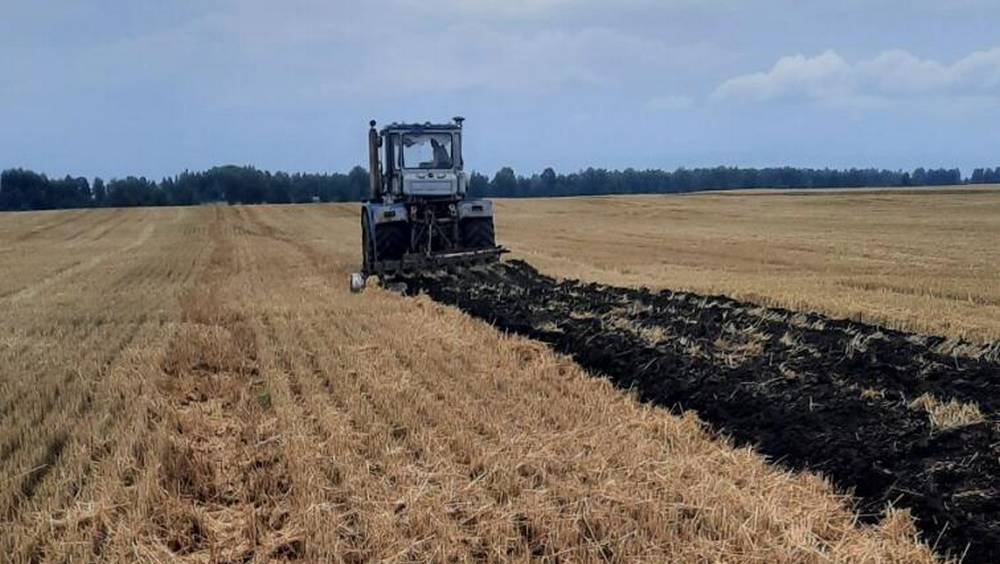 Депутат Госдумы Полуянова заявила об угрозе сельскому хозяйству Брянской области из-за СВО
