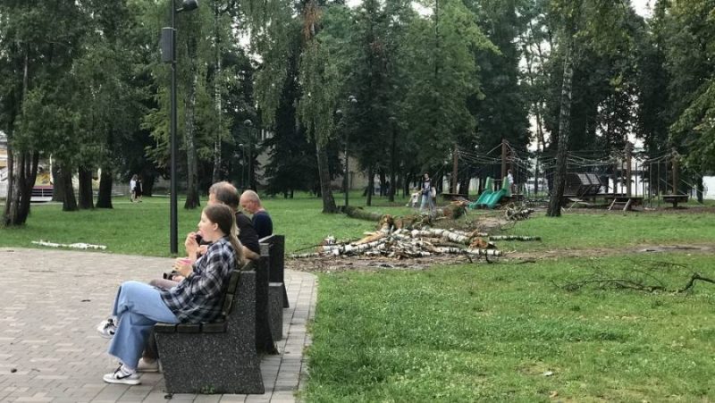 В Брянске Майский парк начали очищать от рухнувших деревьев