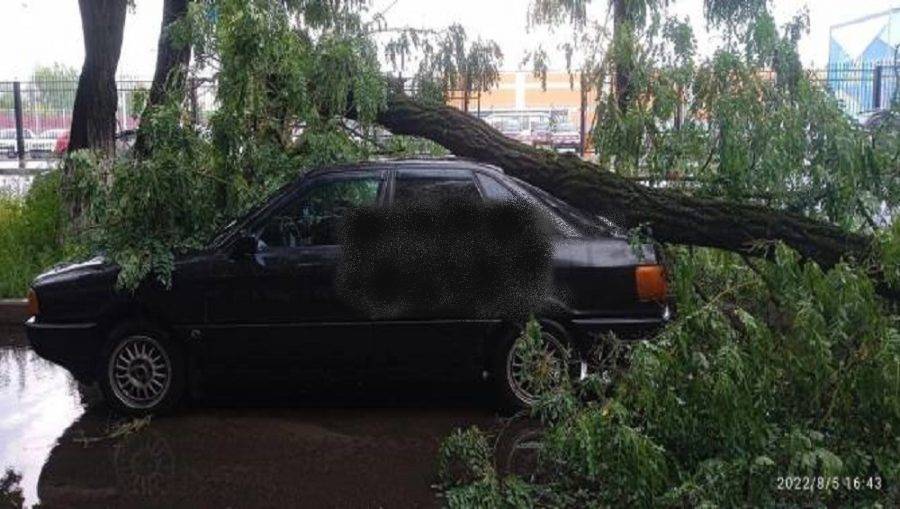 В Брянске на улице Ульянова дерево рухнуло на легковой автомобиль
