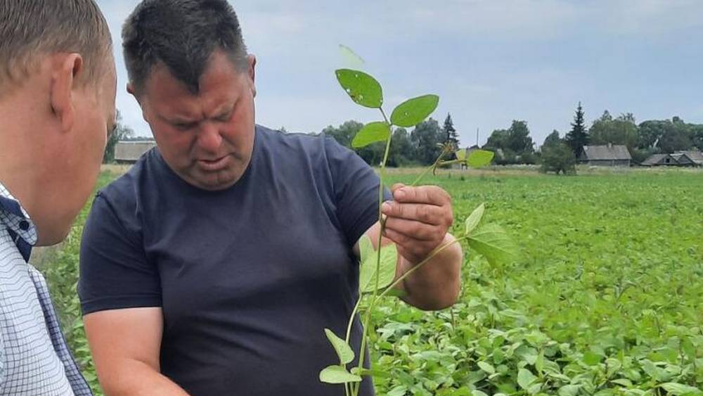 Суземский фермер Алексей Жукунов получил рекордный урожай пшеницы и рапса