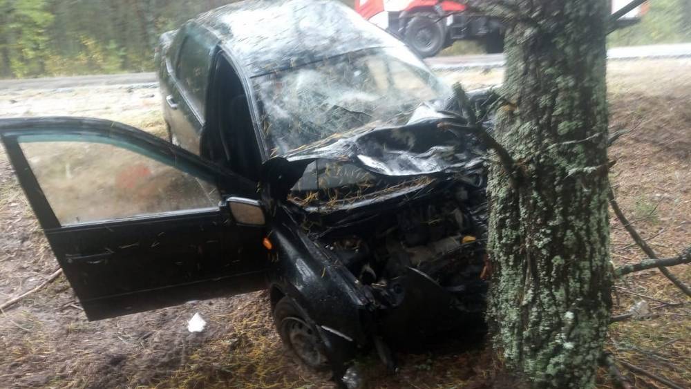 В Карачевском районе погиб водитель врезавшегося в дерево автомобиля