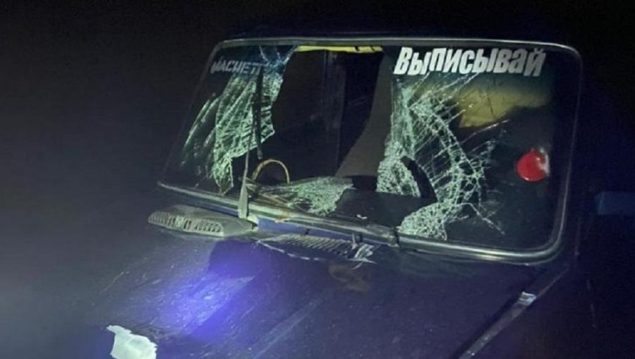Под Навлей 18-летний водитель ВАЗ сбил насмерть 53-летнего мужчину