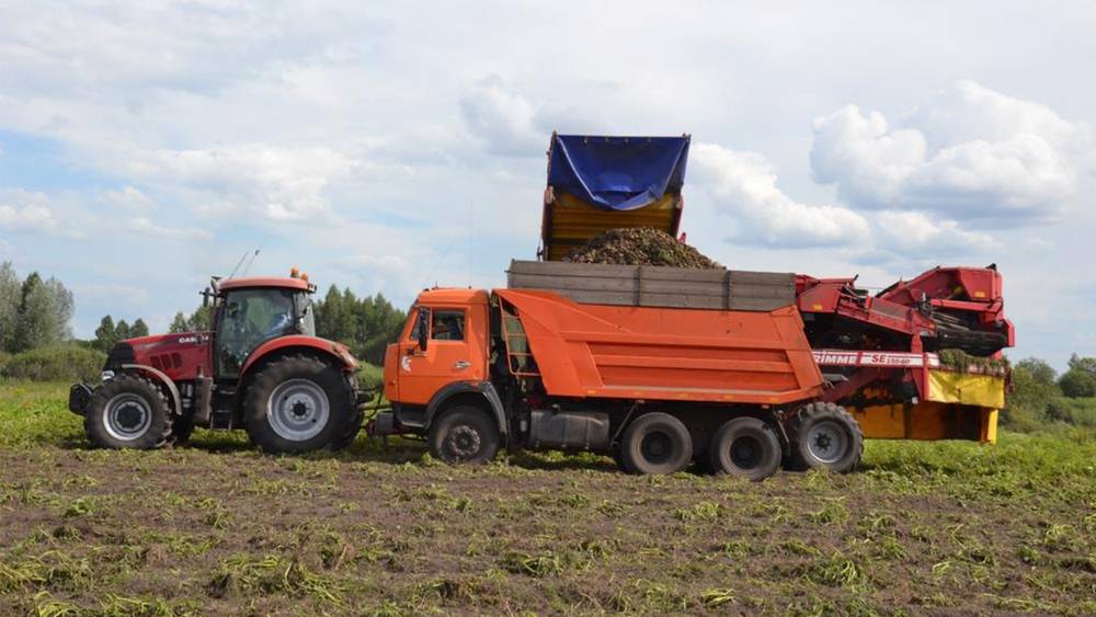 Сельское хозяйство Брянской области выросло за 11 месяцев 2022 года на 3 процента