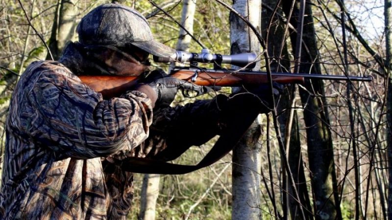 В Жирятинском районе инспекторы скрутили охотившегося на лося браконьера