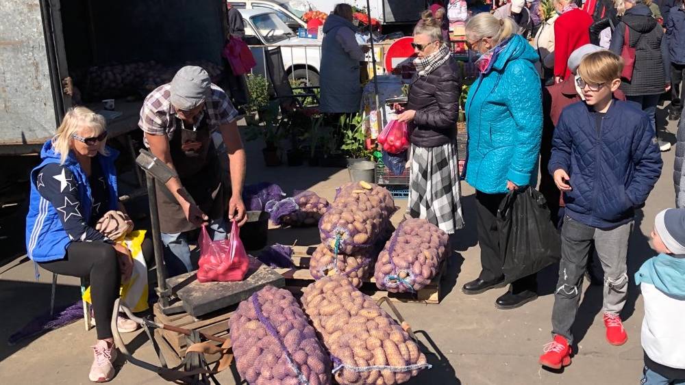 Жители Брянска на ярмарке выходного дня купили 87 тонн картофеля