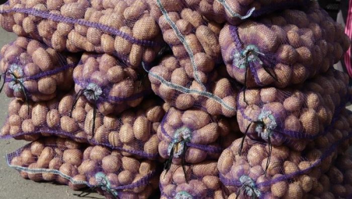В Брянске на ярмарке выходного дня 3 сентября продали 21 тонну картофеля