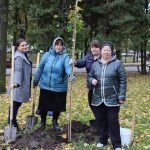 В Брянске в Круглом сквере вместо 14 вырубленных деревьев посадили 15 новых