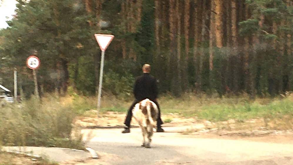В Володарском районе Брянска мужчина проехался на корове