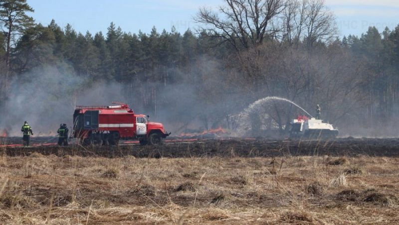 В 12 районах Брянской области установили особый противопожарный режим