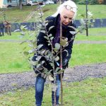 В брянском саду Победы высадили еще 21 яблоню