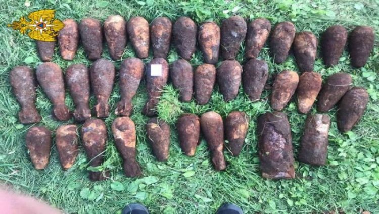 В лесу возле Брянска обнаружили два снаряда и 35 мин