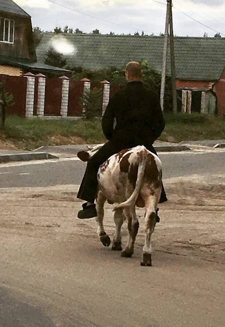 В Володарском районе Брянска мужчина проехался на корове