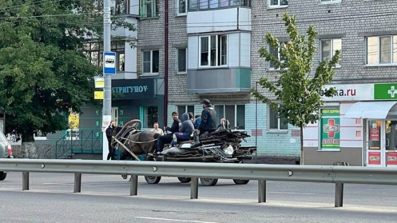 В Брянске на улице Никитина цыгане бросились под автомобили