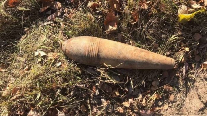 В Рогнединском районе обнаружили миномётную мину времен войны