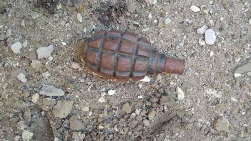 В Клетнянском районе Брянской области жителей напугала найденная в лесу граната