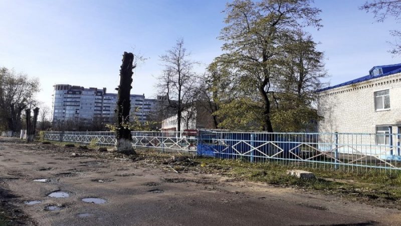 Жителей Брянска возмутила вырубка шести тополей возле школы № 14