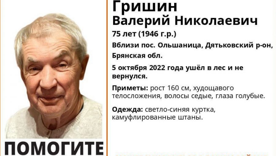 В Дятьковском районе ушел за грибами и пропал 75-летний Валерий Гришин