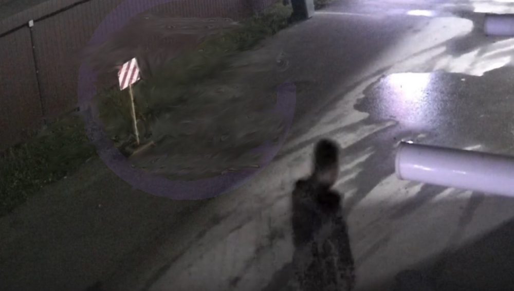 В Клинцах коллекционирующий дорожные знаки парень попал на видео