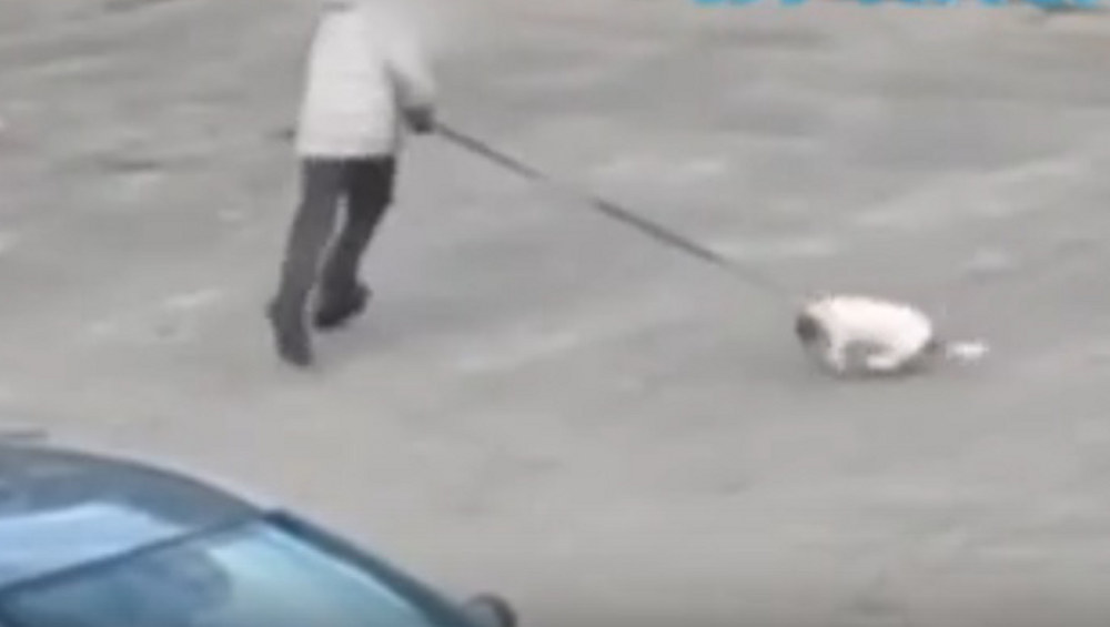 В Брянске жителей возмутил раскручивавший за поводок маленького щенка мальчик