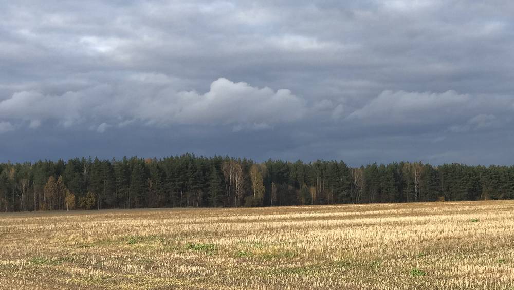 В Брянской области из-за переувлажнения почвы дождями ввели режим ЧС в 22 районах