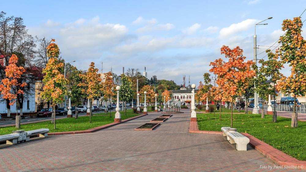 В Брянске показали фотографии сказочного осеннего города