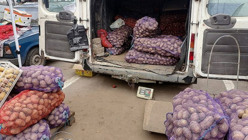 В Брянске на ярмарке горожане купили 28,5 тонны картофеля и более 5 тонн яблок