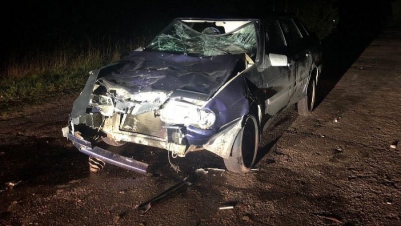 В Суражском районе автомобиль ВАЗ врезался в животное – пострадал водитель