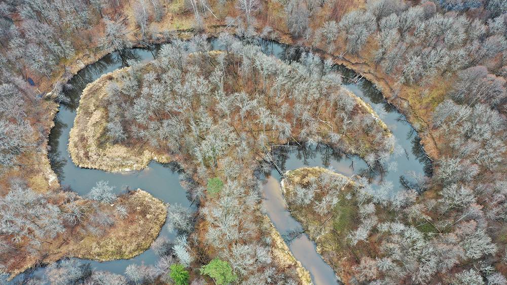 Брянский натуралист Игорь Шпиленок нашел нарисованный руслом реки Вытебети гриб