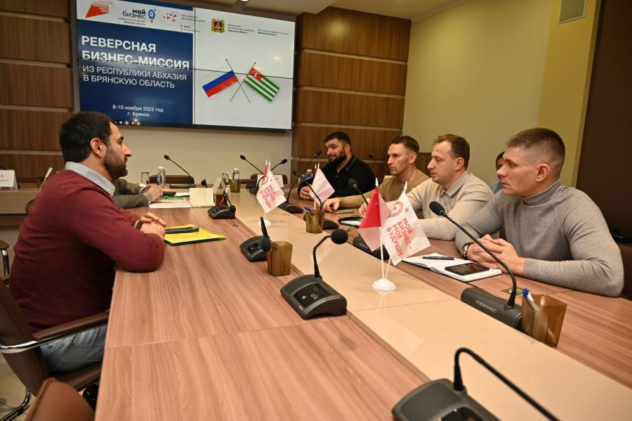 Брянск поможет развитию туристической сферы Абхазии поставками строительной продукции