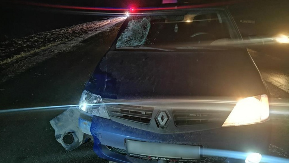 Под Брянском водитель «Рено» насмерть сбил шедшего по дороге 45-летнего мужчину