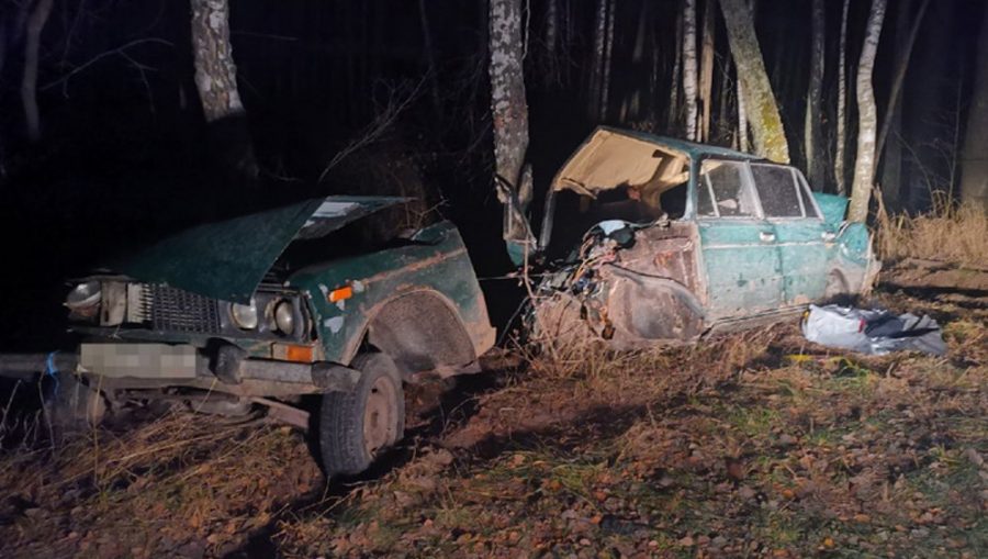 В Брянской области во врезавшемся в дерево ВАЗе погибли двое 20-летних парней