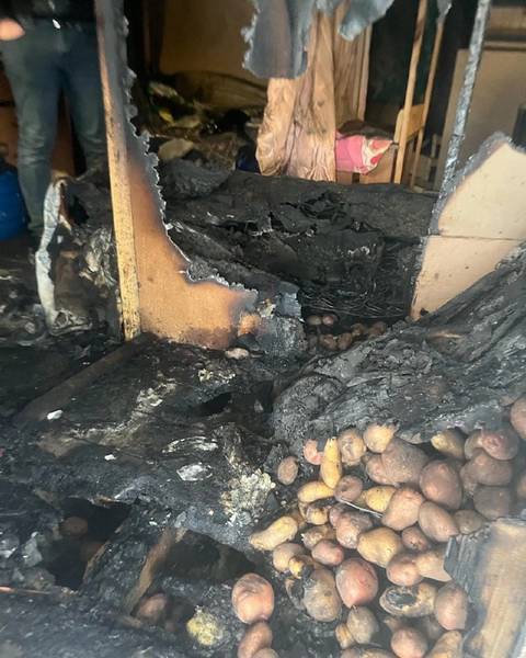 Под Брянском возле Глаженки в домашнем приюте сгорели 50 кошек и 2 собаки