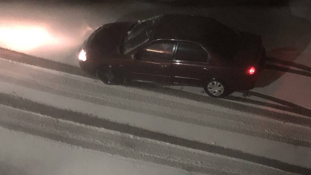 В Брянской области в ночь с 6 на 7 ноября выпал первый мокрый снег осени
