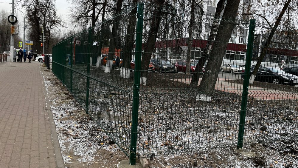 В Брянске появился новый зеленый забор возле диагностического центра