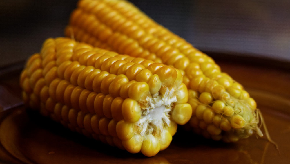 Брянцев предостерегли от употребления в пищу кукурузы из Узбекистана