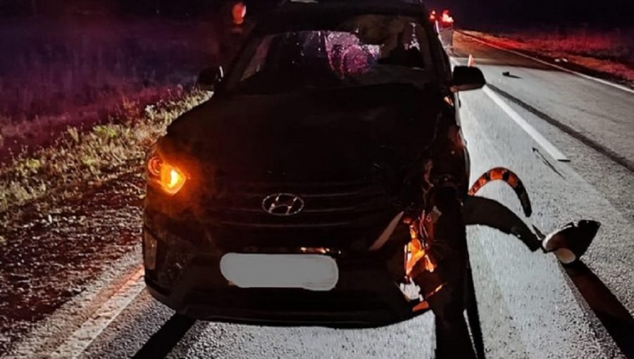В Брянском районе водитель автомобиля Hyundai сбил насмерть 33-летнего пешехода-нарушителя