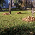 В брянских парках начали убирать листву и готовиться к зиме