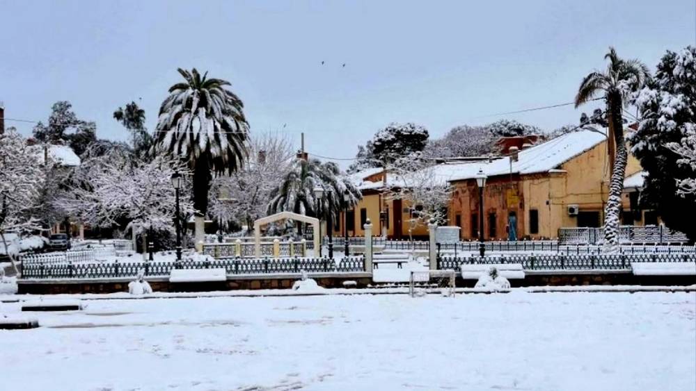 Алжирские студенты брянского университета сообщили о снегопадах в Африке